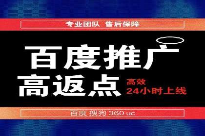 百度竞价排名案例分析：提升网站流量与转化率